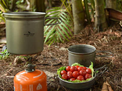Titanium Pot Pan Set with Folding Handle Outdoor Camping Frying Pan