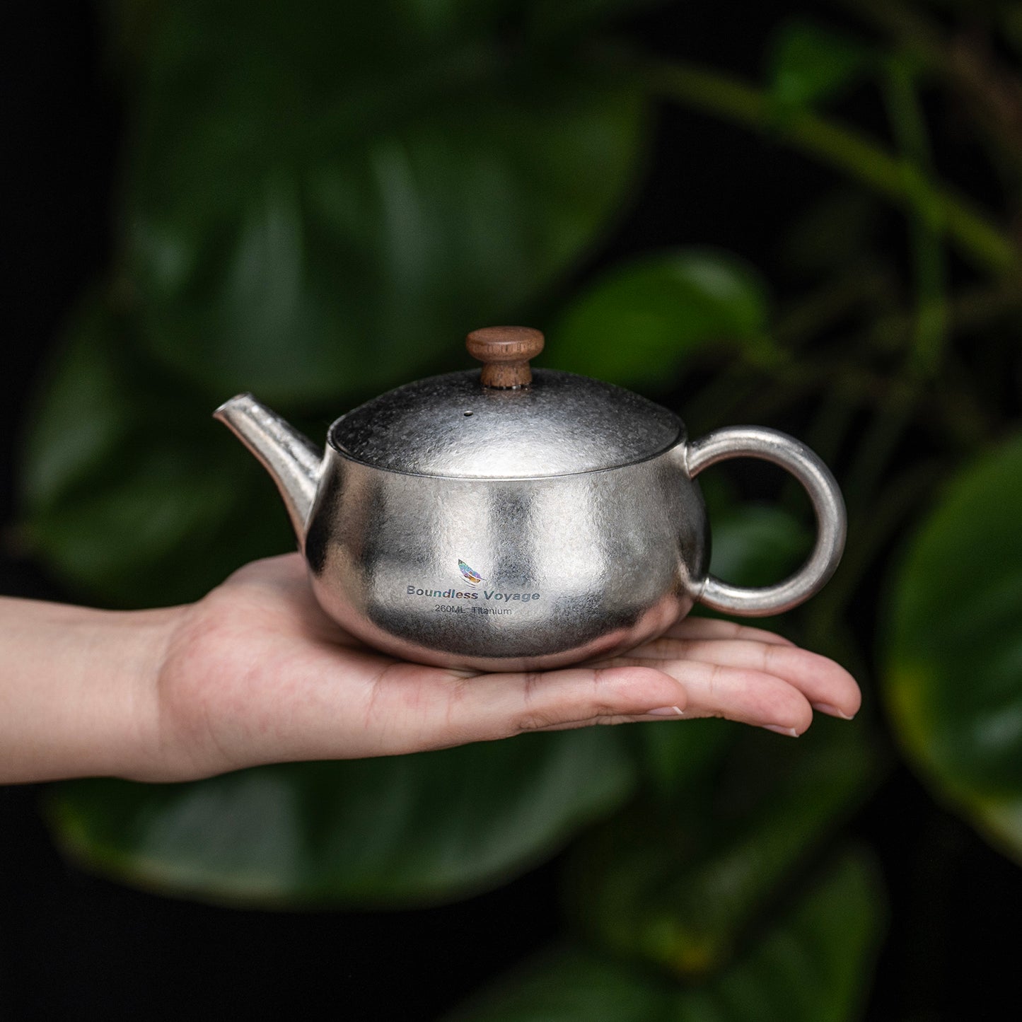 260ml Titanium Teapot with Filter Durable Chinese Kung Fu Tea Set for Adults Lightweight Travel Portable Tea Pot with Wide Spout for Loose Leaf
