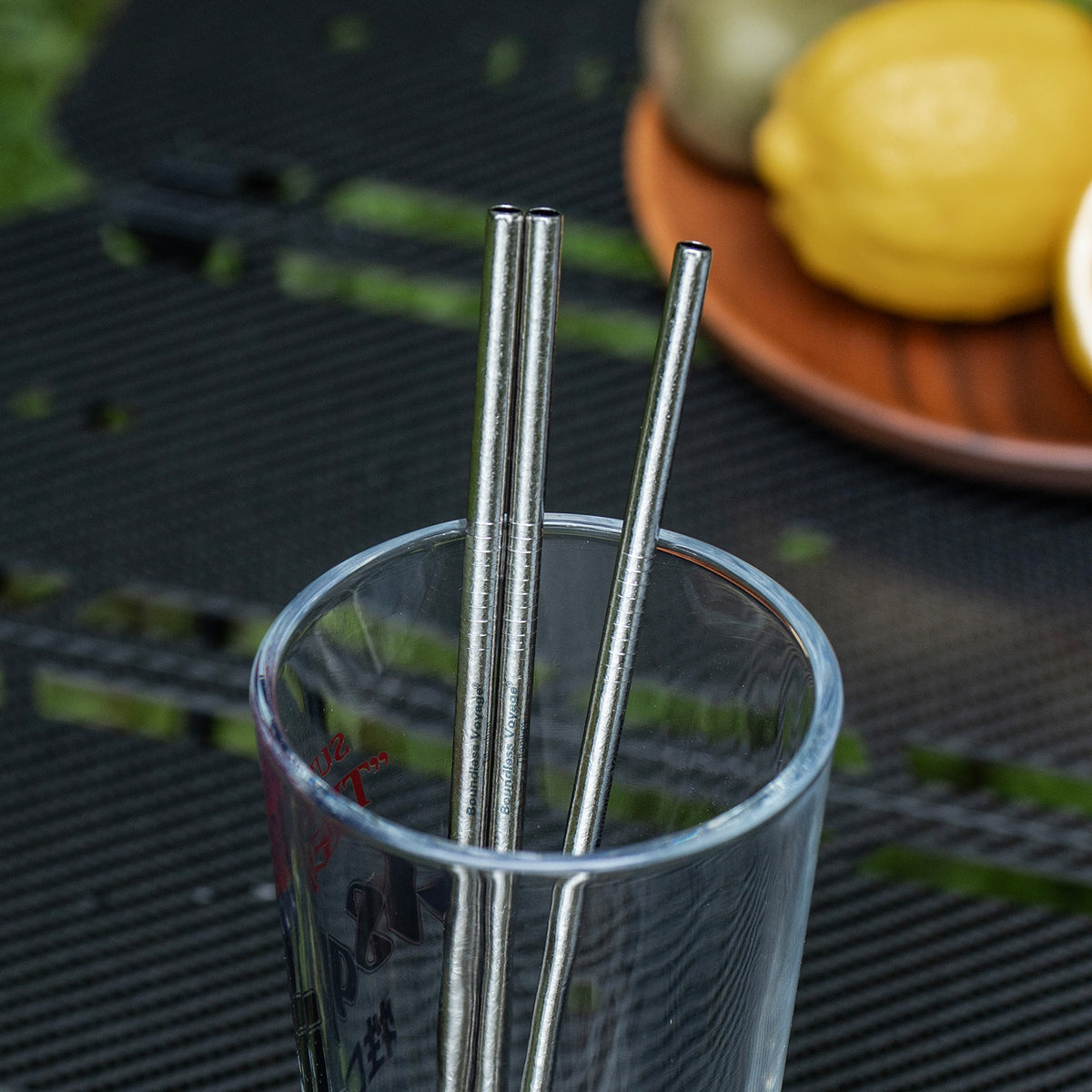 Boundless Voyage Titanium Straw 215mm – TA1 Pure Titanium Reusable Straight Straw with Cleaning Brush & Carry Bag